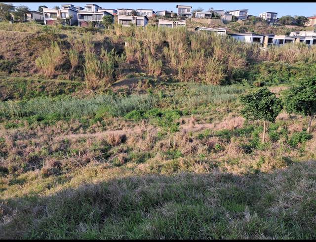 539M² VACANT LAND FOR SALE IN PALM LAKES ESTATE